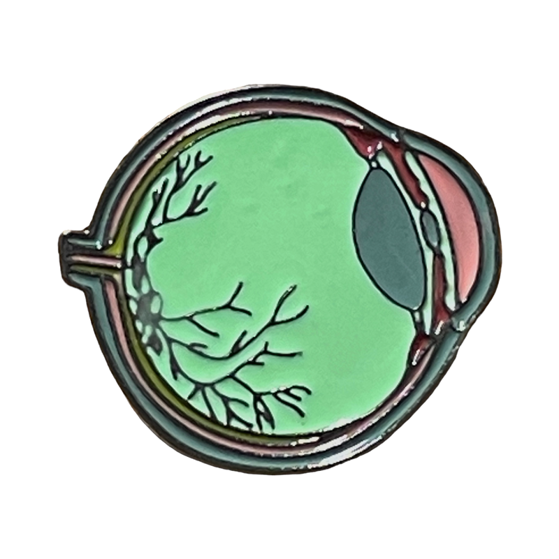 Colorful Anatomical Eye Pin