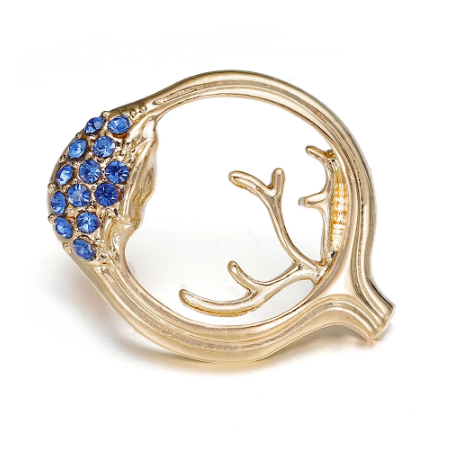 Anatomical Eye Pin with Blue Stones